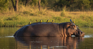 Powerful Marketing Lesson