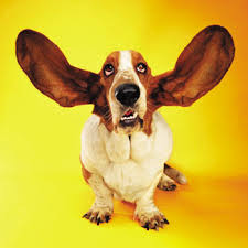 Five Extremely Profitable Reasons Why Developing Effective Listening Skills Is A Must!