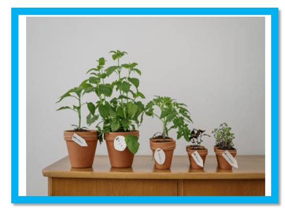 Growing your business